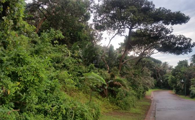 Земля/Ділянка продаж Phil Abrams Blvd, Kelso. Фото#5 Земля/Ділянка продаж Phil Abrams Blvd, Kelso. Фото#5