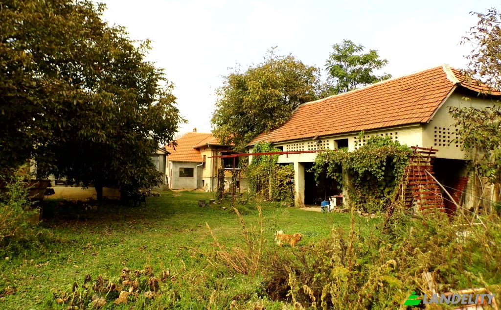 Односімейний будинок продаж Put za Moravski Bujmir, Luzane, Nisava District, Serbia. Фото 5