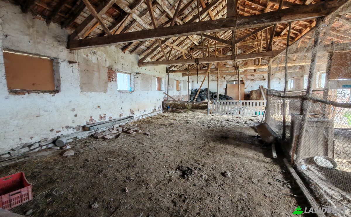 Fazenda/Rancho à venda Put Bez Ime, 3529 Balyuvitsa, Balyuvitsa, Berkovitza, Montana Province, Bulgaria. foto 14