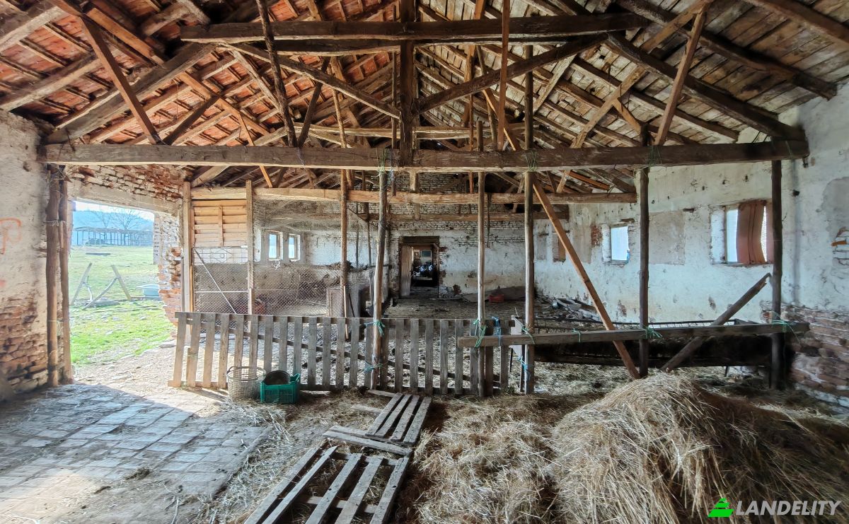 Fazenda/Rancho à venda Put Bez Ime, 3529 Balyuvitsa, Balyuvitsa, Berkovitza, Montana Province, Bulgaria. foto 15