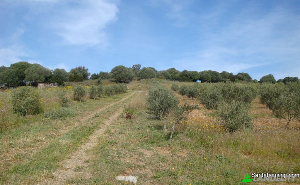 Односімейний будинок продаж Strada senza nome, 09040 Donori SU, Donori, South Sardinia, Sardinia, Italy. Фото 13