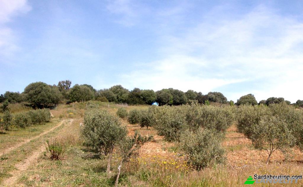 Односімейний будинок продаж Strada senza nome, 09040 Donori SU, Donori, South Sardinia, Sardinia, Italy. Фото 14