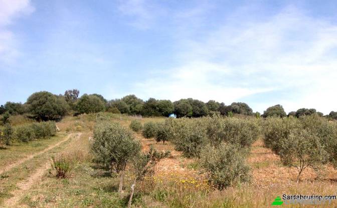 Односімейний будинок продаж Strada senza nome. Фото#14 Односімейний будинок продаж Strada senza nome. Фото#14