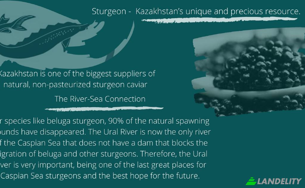 Земля/Ділянка продаж eizvestnaya doroga, Makhambet, Makhambet District, Atyrau Province, Kazakhstan. Фото 3