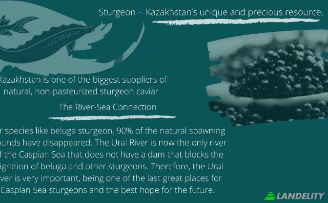 Земля/Ділянка продаж eizvestnaya doroga, Makhambet. Фото#3