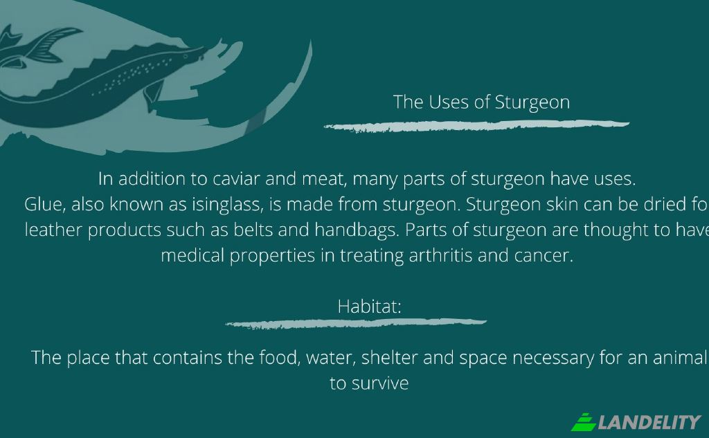 Земля/Ділянка продаж eizvestnaya doroga, Makhambet, Makhambet District, Atyrau Province, Kazakhstan. Фото 4