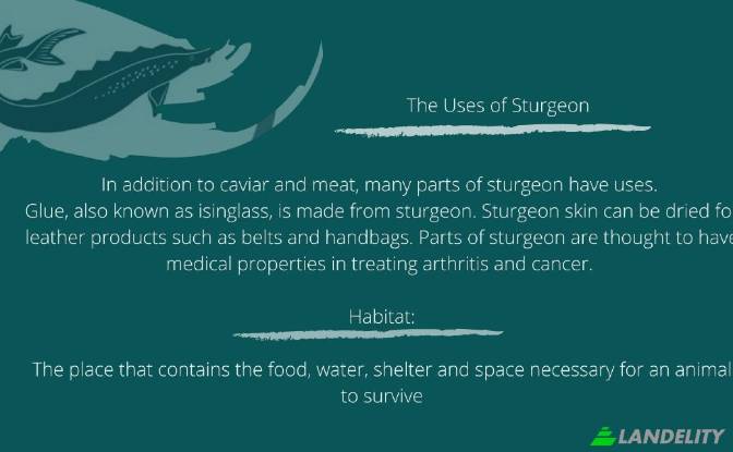 Земля/Ділянка продаж eizvestnaya doroga, Makhambet. Фото#4