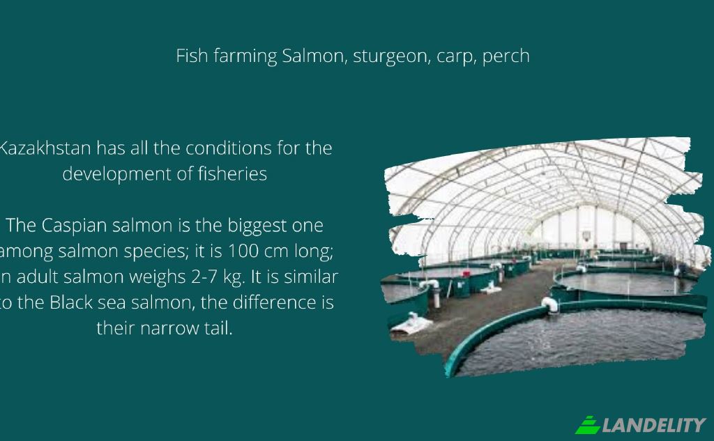 Земля/Ділянка продаж eizvestnaya doroga, Makhambet, Makhambet District, Atyrau Province, Kazakhstan. Фото 5