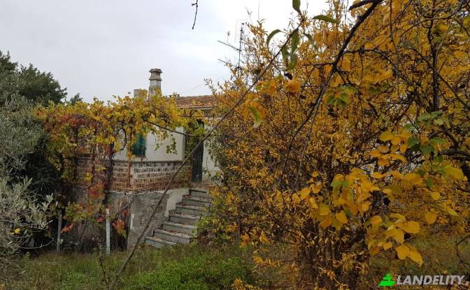 Земля/Ділянка продаж Strada senza nome. Фото#10