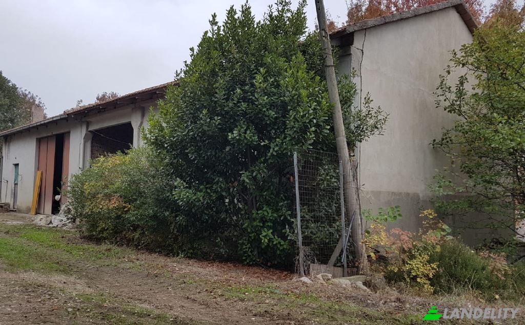 Земля/Ділянка продаж Strada senza nome, 86037 Palata CB, Palata, Province of Campobasso, Molise, Italy. Фото 11