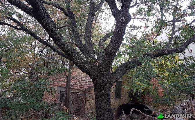 Земля/Ділянка продаж Strada senza nome. Фото#13