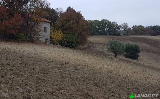 Земля/Ділянка продаж Strada senza nome. Фото#3