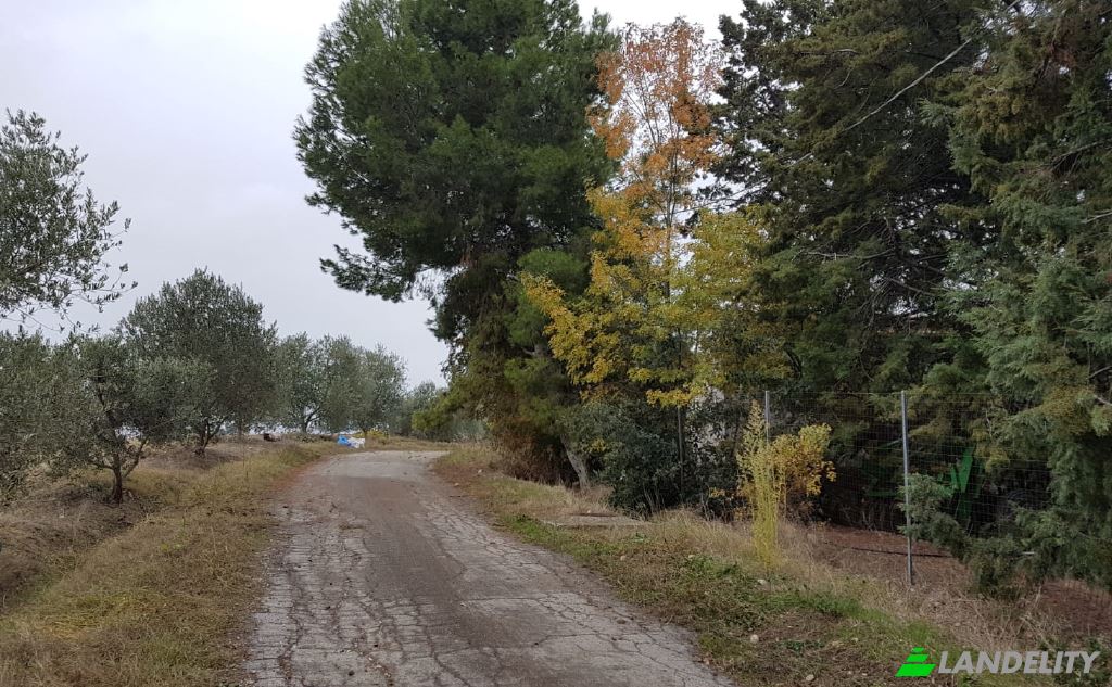 Земля/Ділянка продаж Strada senza nome, 86037 Palata CB, Palata, Province of Campobasso, Molise, Italy. Фото 8