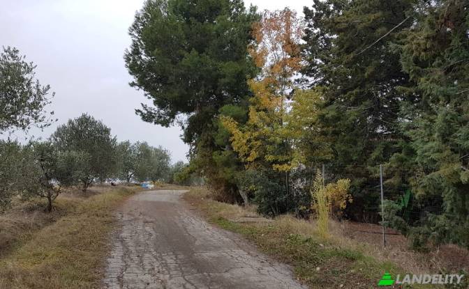 Земля/Ділянка продаж Strada senza nome. Фото#8