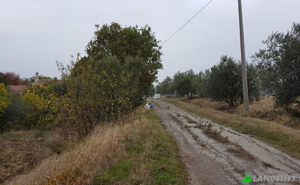 Земля/Ділянка продаж Strada senza nome, 86037 Palata CB, Palata, Province of Campobasso, Molise, Italy. Фото 9