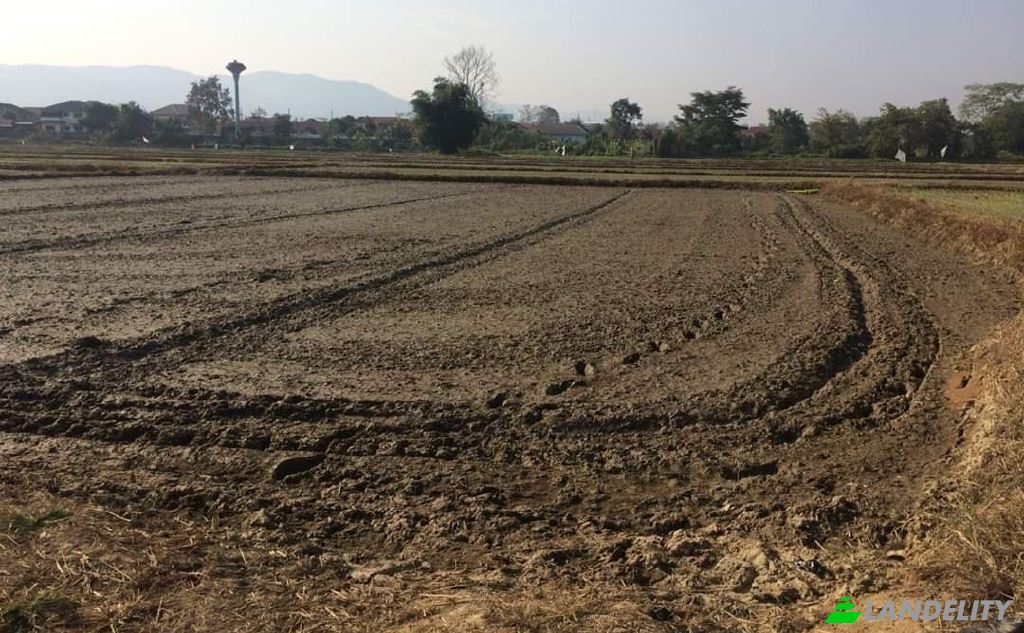 Land/Lot for Sale Soi Sena Nakhon, Tambon Tha Sai, Amphoe Mueang Chiang Rai, Chang Wat Chiang Rai 57000, Tha Sai, Mueang Chiang Rai District, Chiang Rai, Thailand. Photo 10