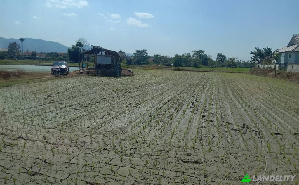 Land/Lot for Sale Soi Sena Nakhon, Tambon Tha Sai, Amphoe Mueang Chiang Rai, Chang Wat Chiang Rai 57000, Tha Sai, Mueang Chiang Rai District, Chiang Rai, Thailand. Photo 12