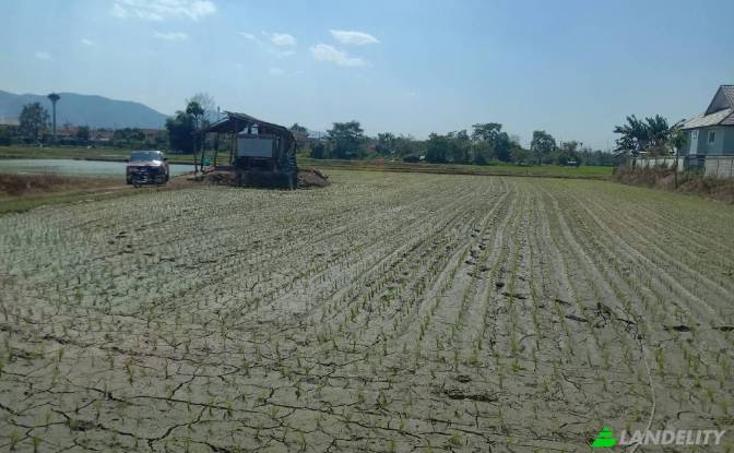 Land/Lot for Sale Soi Sena Nakhon, Tambon Tha Sai. Photo#12 Land/Lot for Sale Soi Sena Nakhon, Tambon Tha Sai. Photo#12