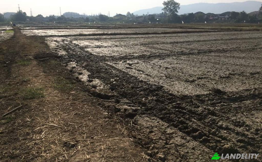 Land/Lot for Sale Soi Sena Nakhon, Tambon Tha Sai, Amphoe Mueang Chiang Rai, Chang Wat Chiang Rai 57000, Tha Sai, Mueang Chiang Rai District, Chiang Rai, Thailand. Photo 13