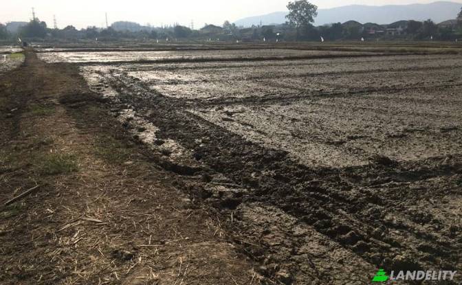 Land/Lot for Sale Soi Sena Nakhon, Tambon Tha Sai. Photo#13 Land/Lot for Sale Soi Sena Nakhon, Tambon Tha Sai. Photo#13