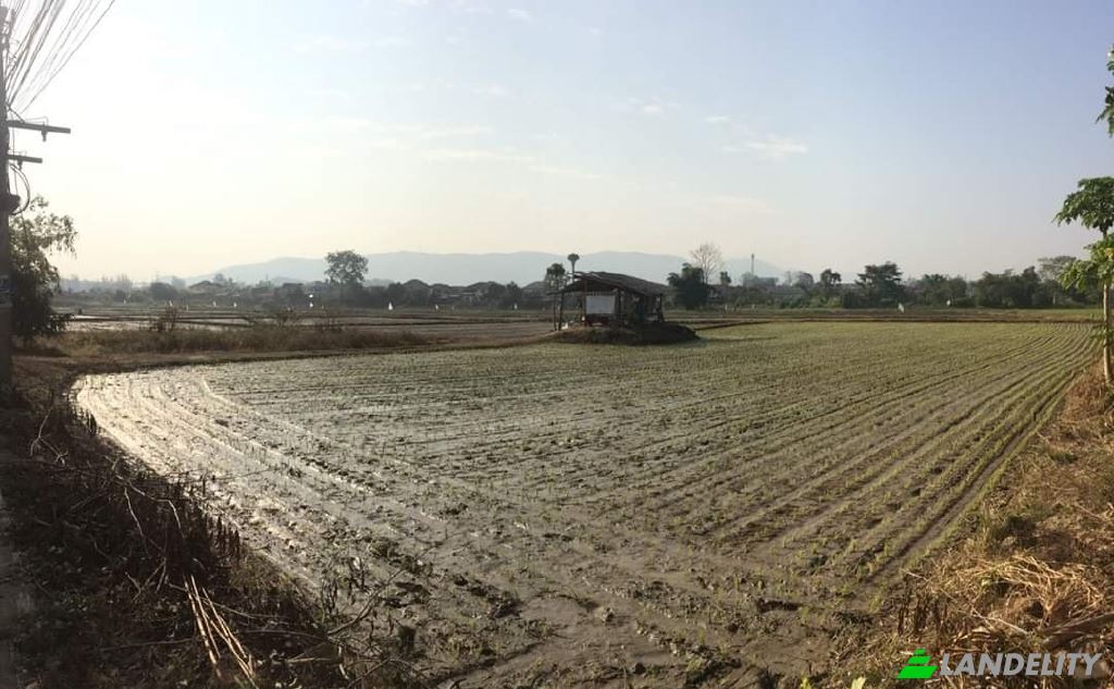 Land/Lot for Sale Soi Sena Nakhon, Tambon Tha Sai, Amphoe Mueang Chiang Rai, Chang Wat Chiang Rai 57000, Tha Sai, Mueang Chiang Rai District, Chiang Rai, Thailand. Photo 14