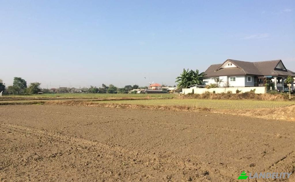 Land/Lot for Sale Soi Sena Nakhon, Tambon Tha Sai, Amphoe Mueang Chiang Rai, Chang Wat Chiang Rai 57000, Tha Sai, Mueang Chiang Rai District, Chiang Rai, Thailand. Photo 15