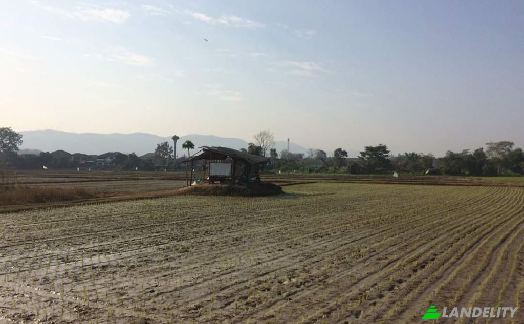 Land/Lot for Sale Soi Sena Nakhon, Tambon Tha Sai, Amphoe Mueang Chiang Rai, Chang Wat Chiang Rai 57000, Tha Sai, Mueang Chiang Rai District, Chiang Rai, Thailand. Photo 16