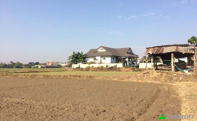 Land/Lot for Sale Soi Sena Nakhon, Tambon Tha Sai. Photo#3 Land/Lot for Sale Soi Sena Nakhon, Tambon Tha Sai. Photo#3