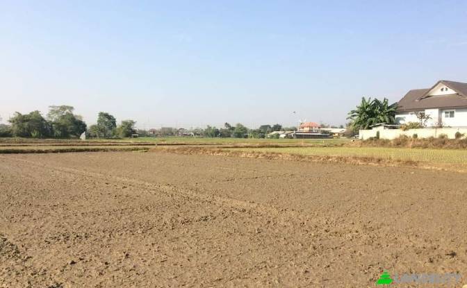 Land/Lot for Sale Soi Sena Nakhon, Tambon Tha Sai. Photo#4 Land/Lot for Sale Soi Sena Nakhon, Tambon Tha Sai. Photo#4