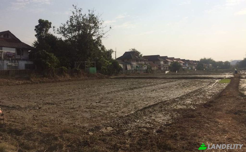 Land/Lot for Sale Soi Sena Nakhon, Tambon Tha Sai, Amphoe Mueang Chiang Rai, Chang Wat Chiang Rai 57000, Tha Sai, Mueang Chiang Rai District, Chiang Rai, Thailand. Photo 5