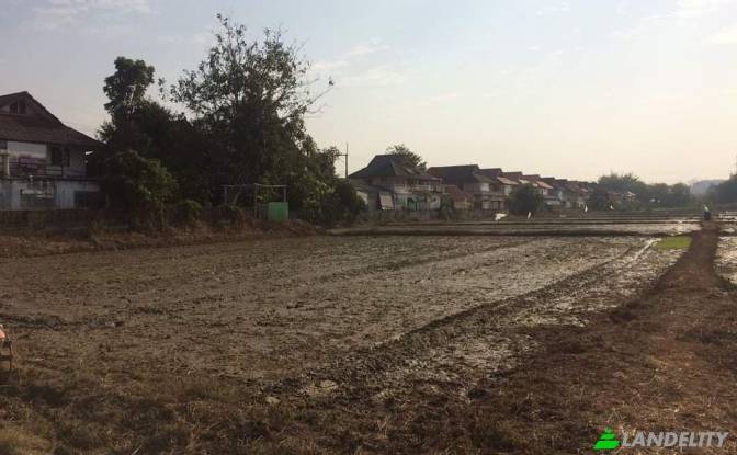 Land/Lot for Sale Soi Sena Nakhon, Tambon Tha Sai. Photo#5 Land/Lot for Sale Soi Sena Nakhon, Tambon Tha Sai. Photo#5