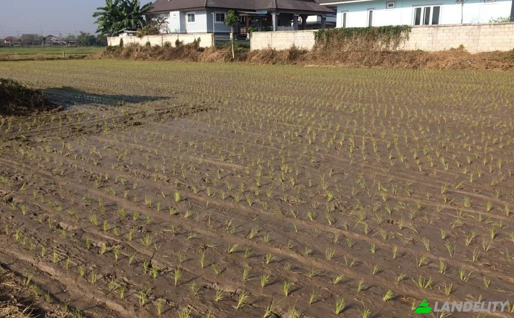 Land/Lot for Sale Soi Sena Nakhon, Tambon Tha Sai, Amphoe Mueang Chiang Rai, Chang Wat Chiang Rai 57000, Tha Sai, Mueang Chiang Rai District, Chiang Rai, Thailand. Photo 6