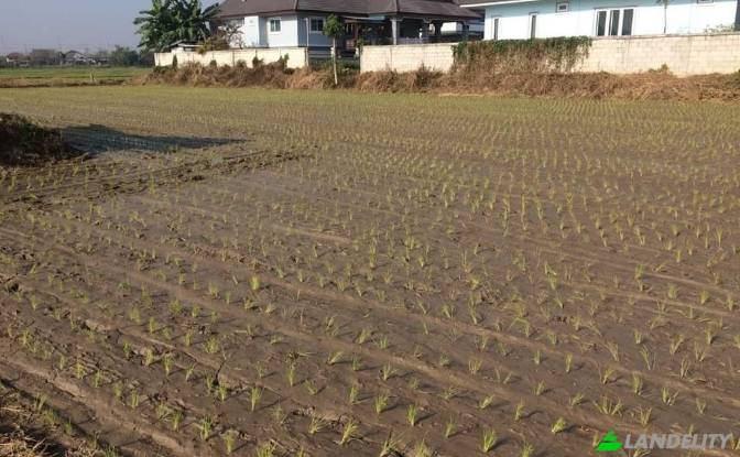 Land/Lot for Sale Soi Sena Nakhon, Tambon Tha Sai. Photo#6 Land/Lot for Sale Soi Sena Nakhon, Tambon Tha Sai. Photo#6