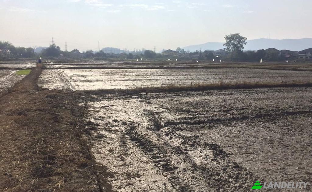 Land/Lot for Sale Soi Sena Nakhon, Tambon Tha Sai, Amphoe Mueang Chiang Rai, Chang Wat Chiang Rai 57000, Tha Sai, Mueang Chiang Rai District, Chiang Rai, Thailand. Photo 7