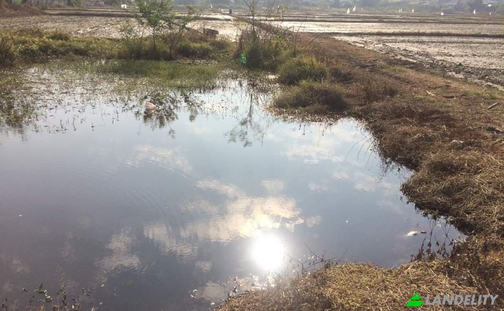 Land/Lot for Sale Soi Sena Nakhon, Tambon Tha Sai, Amphoe Mueang Chiang Rai, Chang Wat Chiang Rai 57000, Tha Sai, Mueang Chiang Rai District, Chiang Rai, Thailand. Photo 8