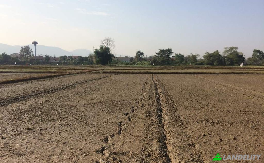 Land/Lot for Sale Soi Sena Nakhon, Tambon Tha Sai, Amphoe Mueang Chiang Rai, Chang Wat Chiang Rai 57000, Tha Sai, Mueang Chiang Rai District, Chiang Rai, Thailand. Photo 9