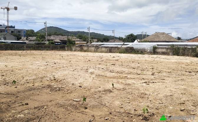 Land/Lot for Sale Rawai, Mueang Phuket District. Photo#11 Land/Lot for Sale Rawai, Mueang Phuket District. Photo#11