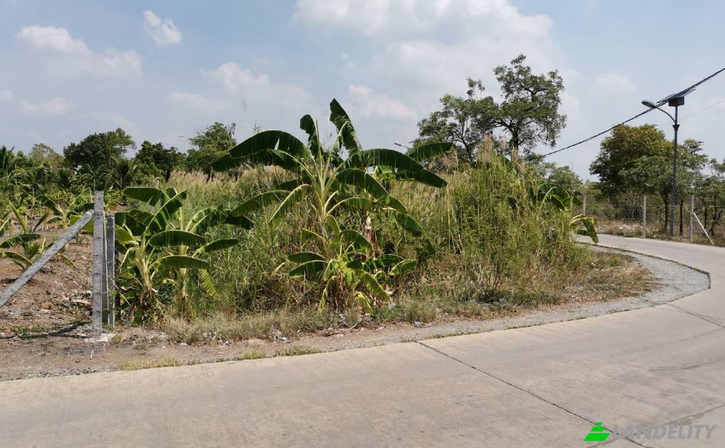 Land/Lot for Sale Tambon Bang Prok, Amphoe Mueang Pathum Thani, Chang Wat Pathum Thani 12000, Bang Prok, Mueang Pathum Thani District, Pathum Thani, Thailand. Photo 10
