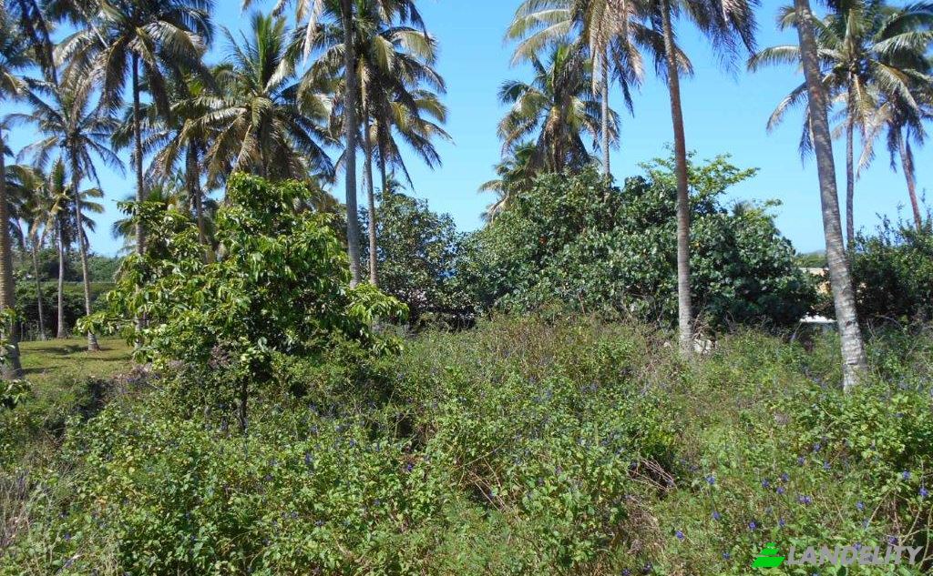 Земля/Ділянка продаж Toula Village, Vavau, Tonga. Фото 3