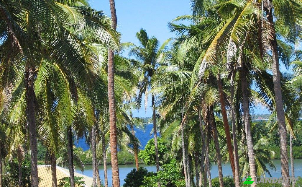 Земля/Ділянка продаж Toula Village, Vavau, Tonga. Фото 6