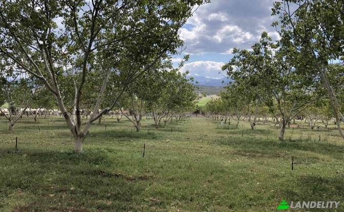 Land/Lot for Sale Karyagdi, Elmali Seki Yolu. Photo#6