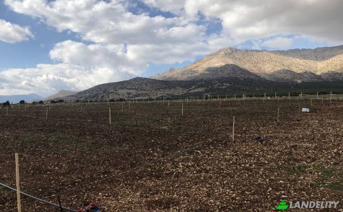 Land/Lot for Sale Karyagdi, Elmali Seki Yolu. Photo#19