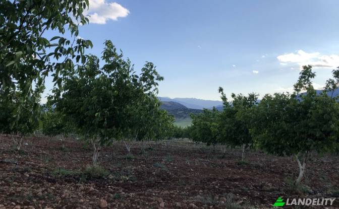 Land/Lot for Sale Karyagdi, Elmali Seki Yolu. Photo#7