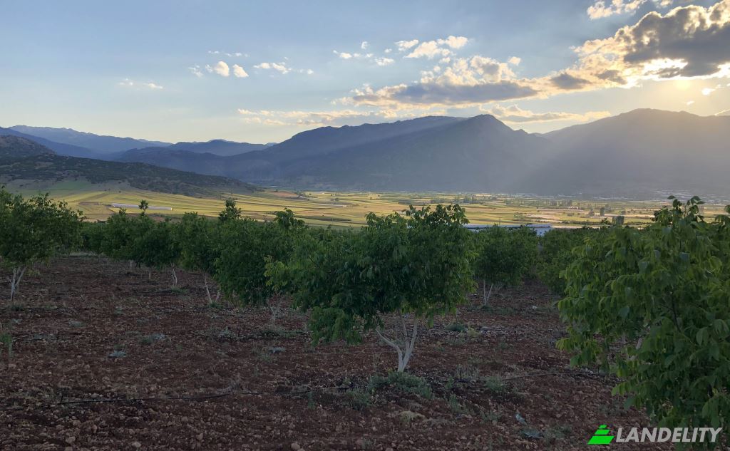 Land/Lot for Sale Karyagdi, Elmali Seki Yolu, 07700 Elmali Antalya, Elmali Antalya, Elmali, Antalya, Turkiye. Photo 1