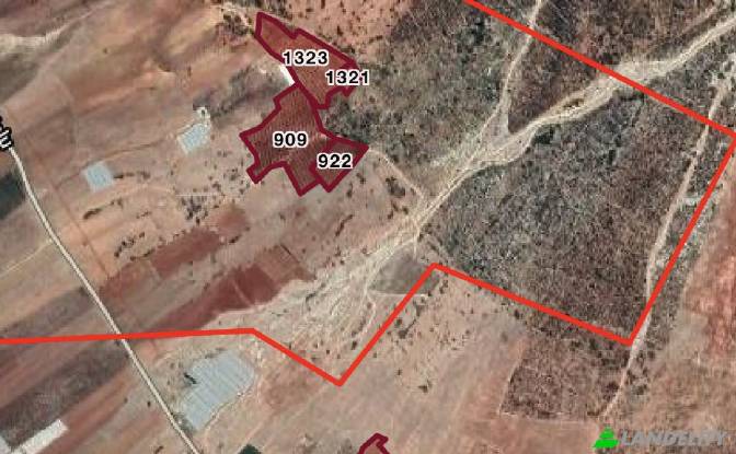 Land/Lot for Sale Karyagdi, Elmali Seki Yolu. Photo#25