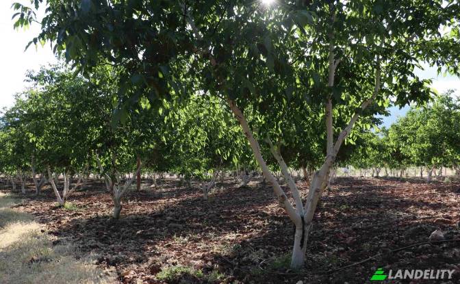 Land/Lot for Sale Karyagdi, Elmali Seki Yolu. Photo#3