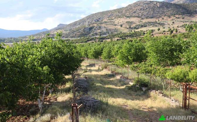 Land/Lot for Sale Karyagdi, Elmali Seki Yolu. Photo#5