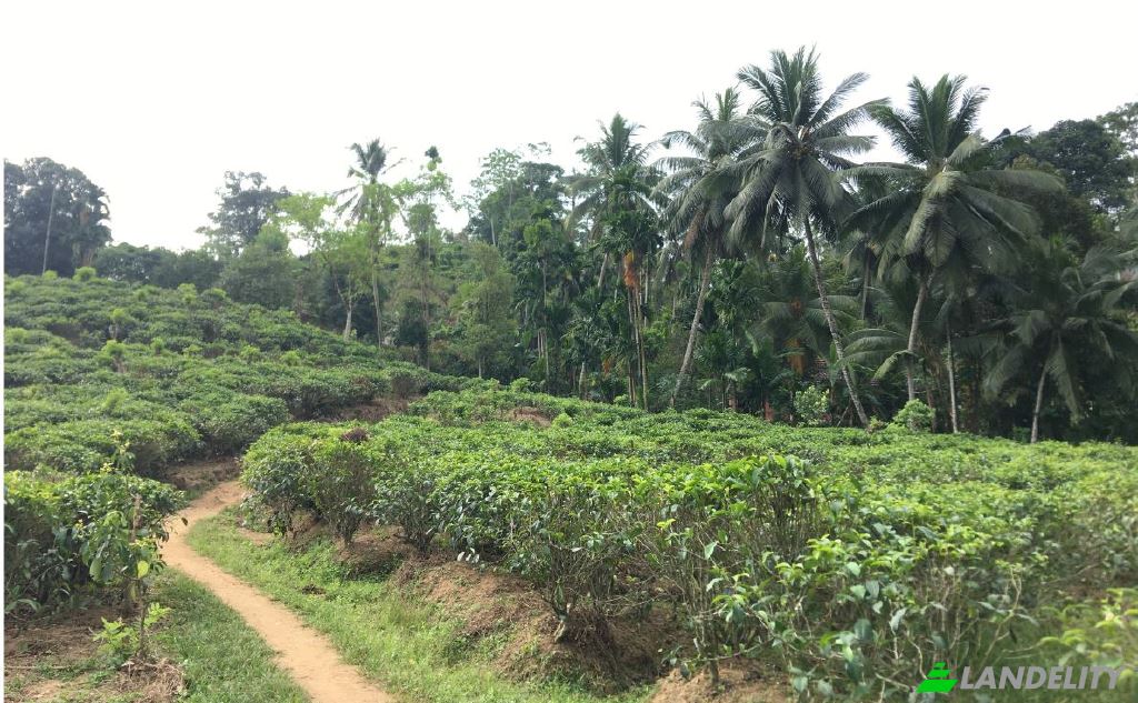 Земля/Ділянка продаж Mabotuwana Pre School, Mabotuwana, Galle, Southern Province, Sri Lanka. Фото 3