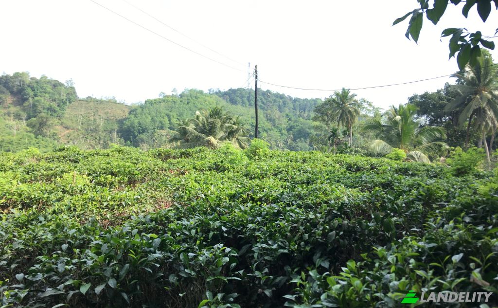 Земля/Ділянка продаж Mabotuwana Pre School, Mabotuwana, Galle, Southern Province, Sri Lanka. Фото 4