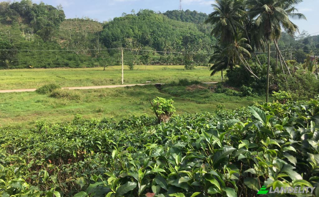 Земля/Ділянка продаж Mabotuwana Pre School, Mabotuwana, Galle, Southern Province, Sri Lanka. Фото 5